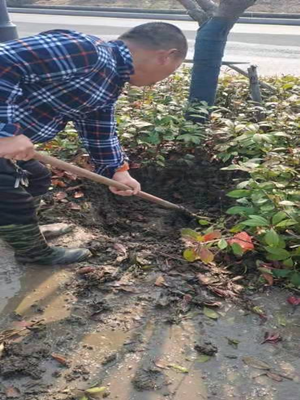 意昂4娱乐官方网站图片